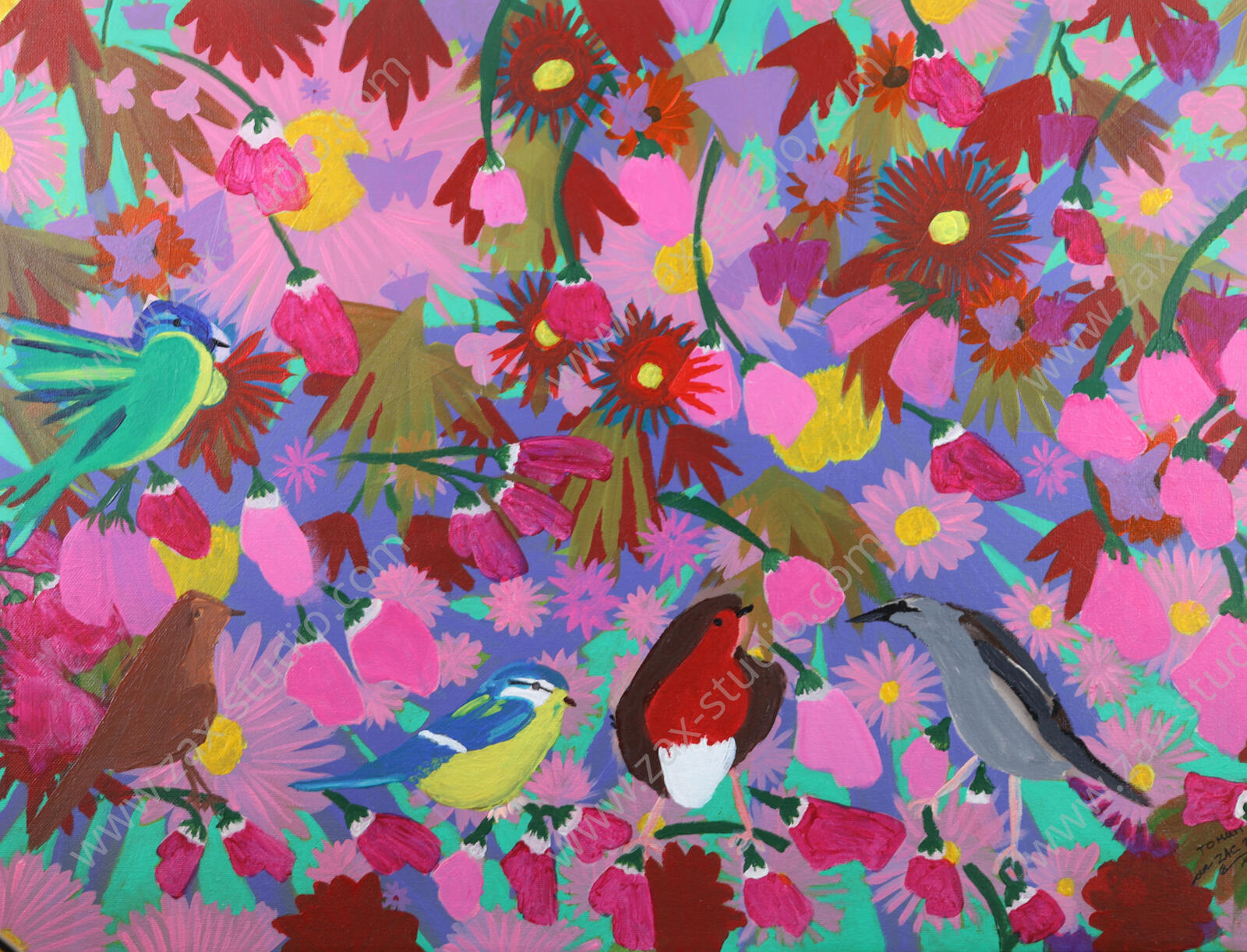 Birds
