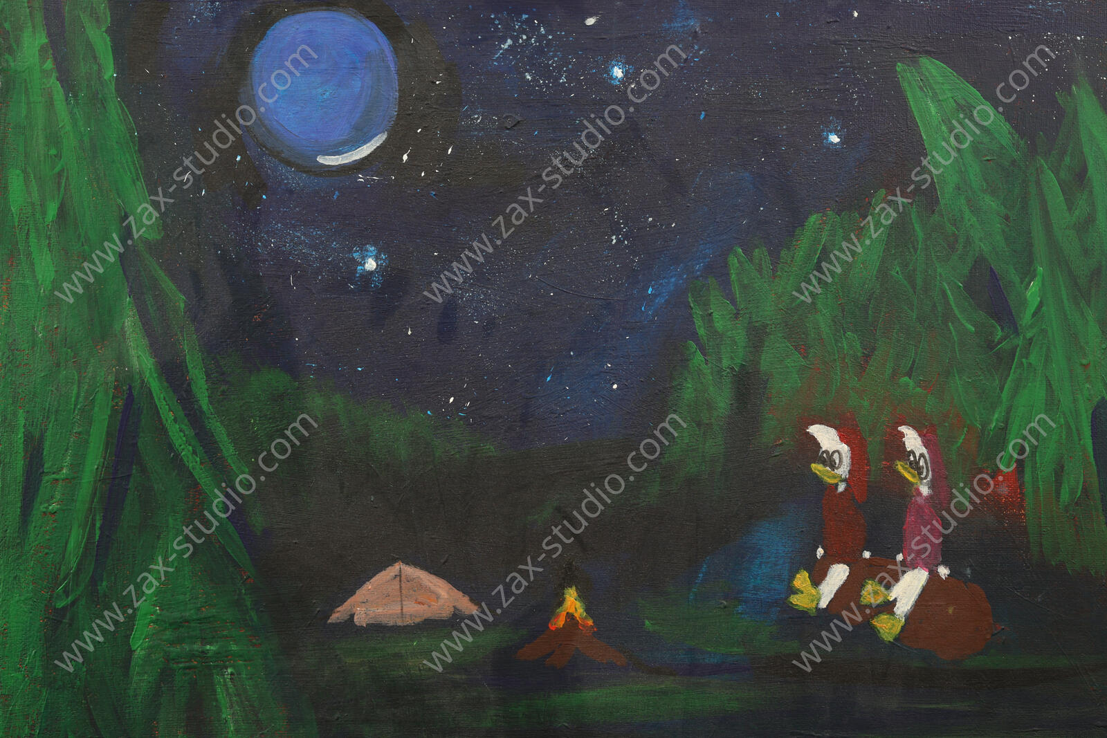 Ducks Camping